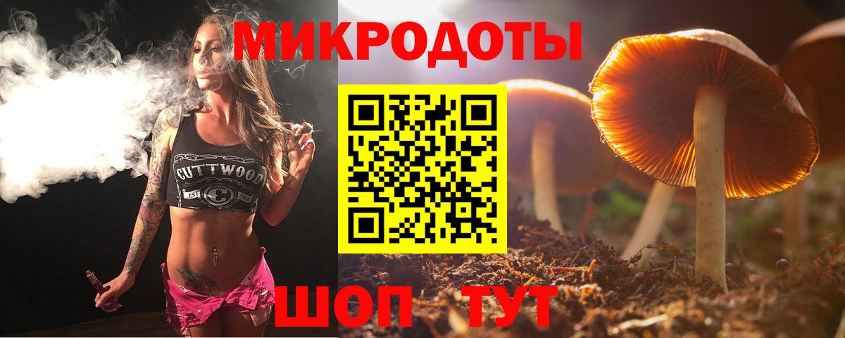 Псилоцибиновые грибы MAGIC MUSHROOMS Красный Сулин